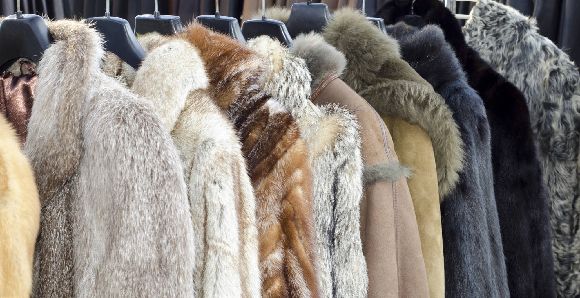 The Difference Between Faux Fur and Real Fur (2)