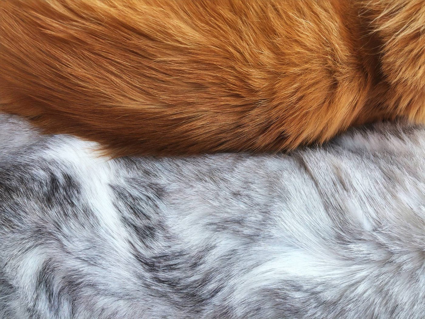The Difference Between Faux Fur and Real Fur: Unveiling the Truth